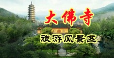 口黄片中国浙江-新昌大佛寺旅游风景区